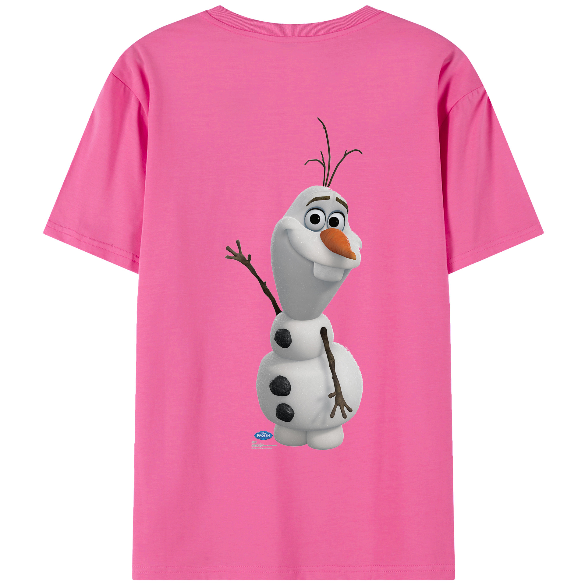 （画像用） アナと雪の女王 アンナ エルサ Frozen Anna Elsa レディース半袖Tシャツ(バックプリント)